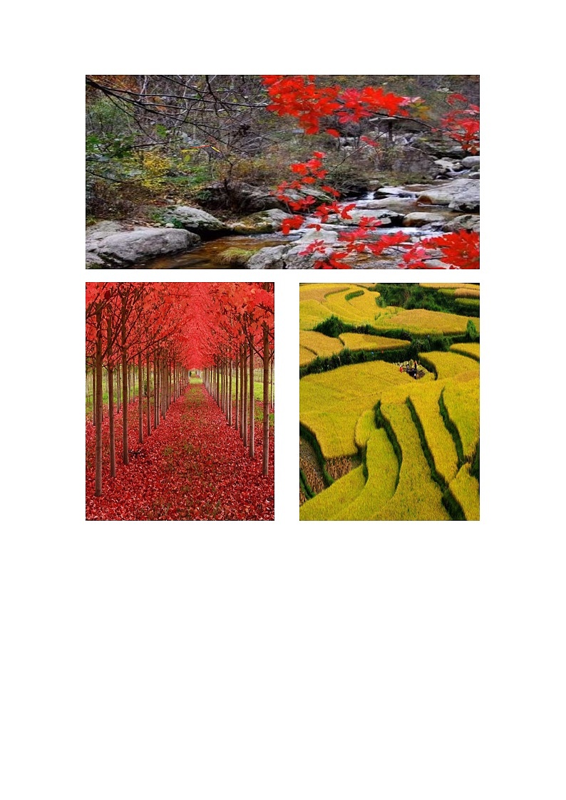 部编版六年级古诗秋天优秀教案02