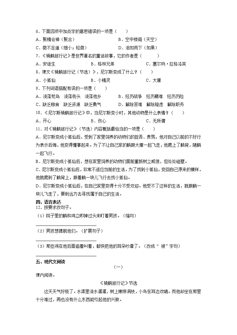 六年级下册语文部编版课后作业第6课《骑鹅旅行记（节选）》（含答案）02
