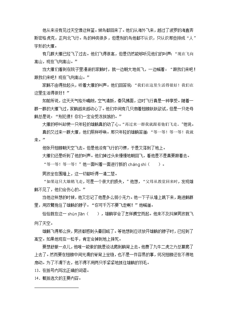 六年级下册语文部编版课后作业第6课《骑鹅旅行记（节选）》（含答案）03