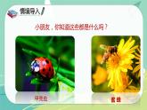 第4课 昆虫备忘录（课件）-【上好课】三年级语文下册同步备课系列（部编版）.pptx.pptx