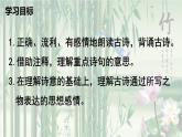 六年級下冊語文課件（含音頻）-第10課 古詩三首 《竹石》-人教部編版
