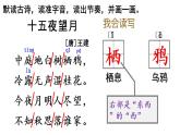 六年级下册语文课件（含音频）-第3课古诗三首 《十五夜望月》-人教部编版