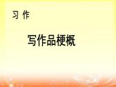 六年级下册语文课件-《习作二：写作品梗概》-人教部编版