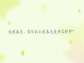 《找春天》第一课时 小学语文二年级下部编版课件PPT