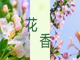《找春天》第一课时 小学语文二年级下部编版课件PPT