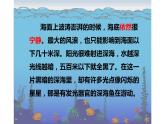 人教版（部编版四五制）小学语文三年级下册 23.海底世界  课件