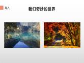 人教版（部编版四五制）小学语文三年级下册 22.我们奇妙的世界  课件