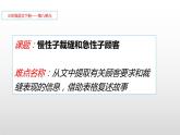 人教版（部编版四五制）小学语文三年级下册 25.慢性子裁缝和急性子顾客  课件