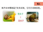 人教版（部编版四五制）小学语文三年级下册 25.慢性子裁缝和急性子顾客  课件