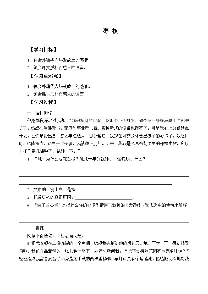 人教版（部编版四五制）小学语文三年级下册 28.枣核  学案01