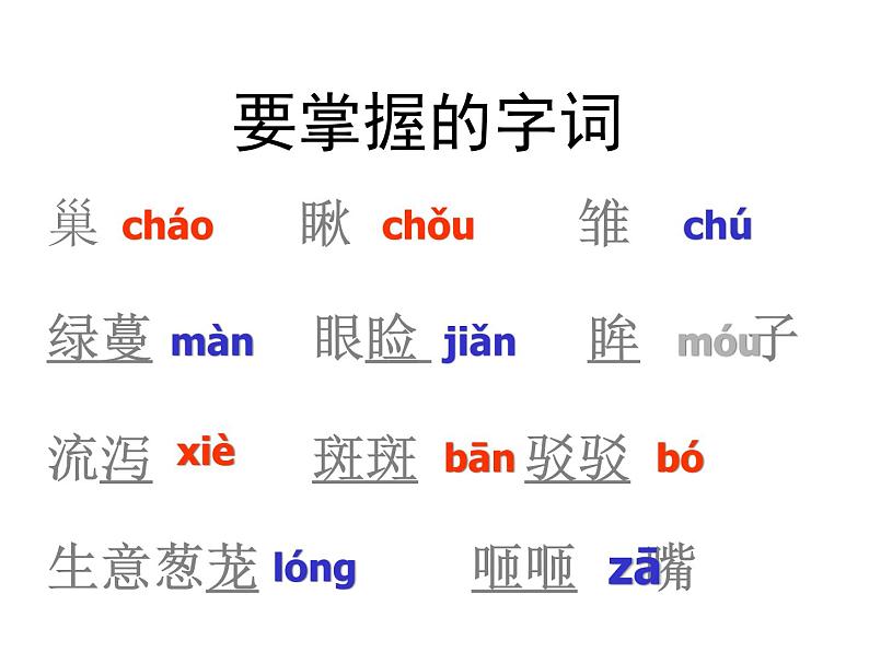 《珍珠鸟》ppt课件208