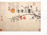 人教版（部編版四五制）小學語文四年級下冊  21.古詩三首 墨梅  課件