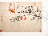 人教版（部編版四五制）小學語文四年級下冊  21.古詩三首 墨梅  課件