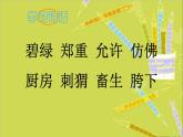 人教版（部编版四五制）小学语文五年级下册 2.少年闰土  课件
