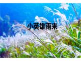 人教版（部编版四五制）小学语文四年级下册  18.小英雄雨来  课件
