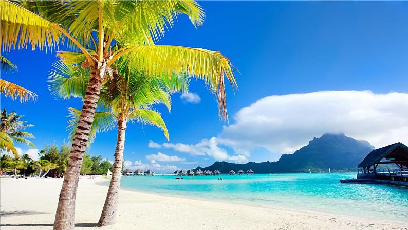 9 明天要远足课件PPT01