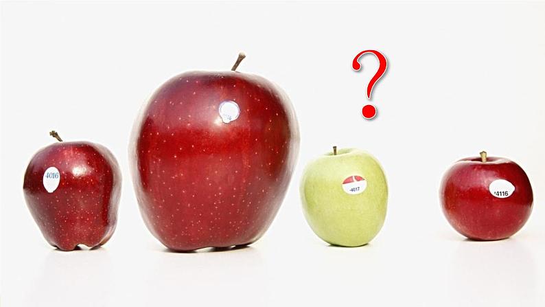 10 大还是小第3页