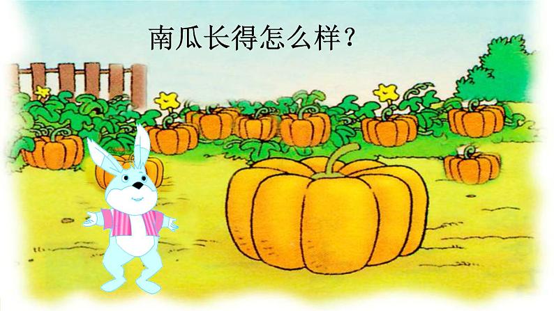 口语交际 小兔运南瓜第2页