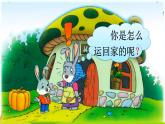 口语交际 小兔运南瓜课件PPT