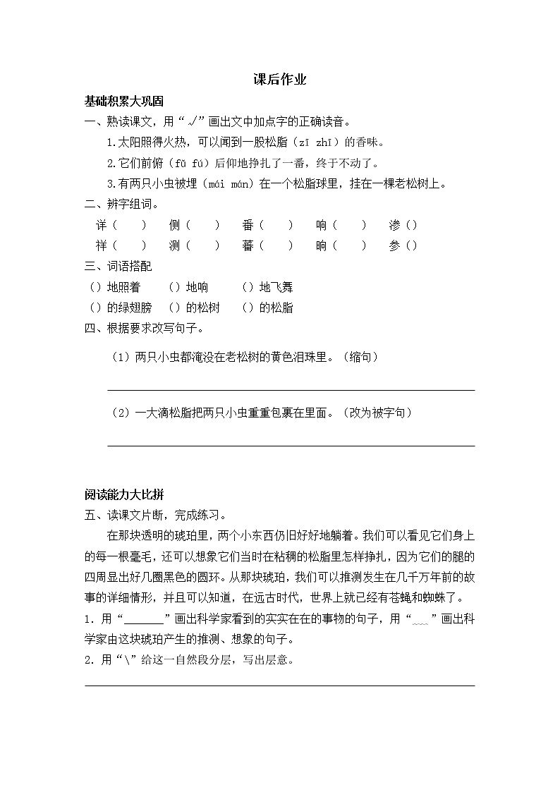 5 琥珀 练习第1页