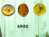 人教部编版四年级语文下册教案、课件和课堂达标5琥珀