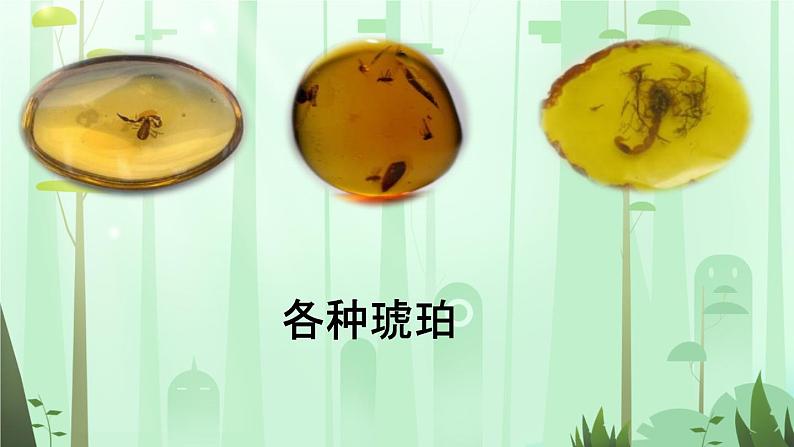 5.《琥珀》【课件】第2页