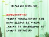人教部编版四年级语文下册教案、课件和课堂达标5琥珀