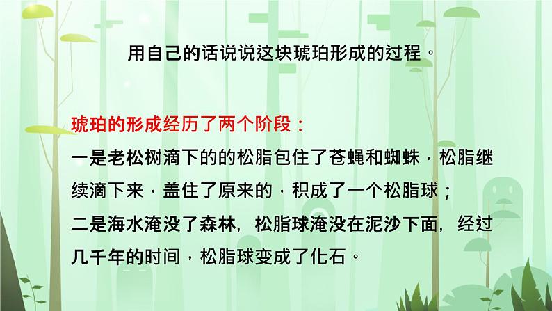 5.《琥珀》【课件】第5页