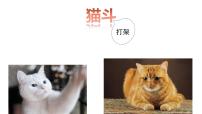 小学人教部编版第四单元13 猫教案配套课件ppt