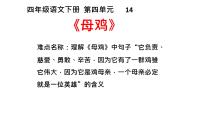 人教部编版四年级下册14 母鸡备课ppt课件