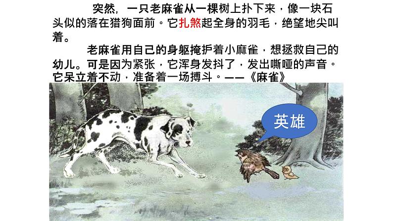 人教部编版四年级语文下册教案、课件和课堂达标14母鸡05