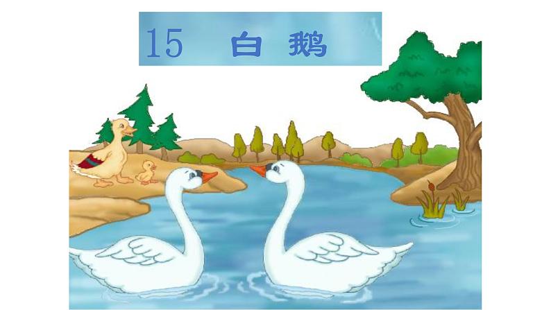 人教部编版四年级语文下册教案、课件和课堂达标15白鹅01