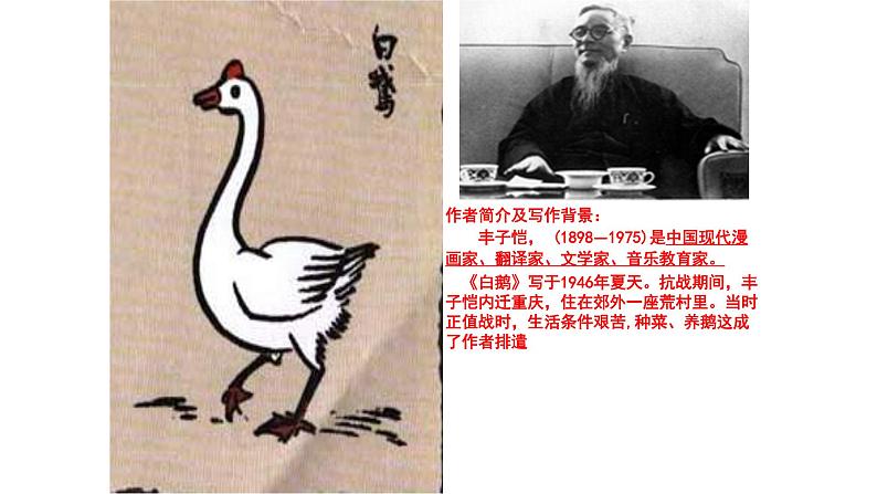 人教部编版四年级语文下册教案、课件和课堂达标15白鹅02