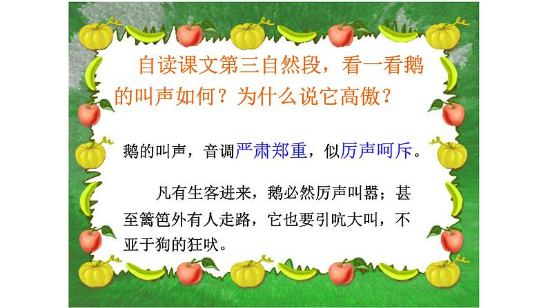 人教部编版四年级语文下册教案、课件和课堂达标15白鹅08