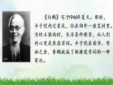 《15白鹅》（课件）2021-2022学年语文四年级下册
