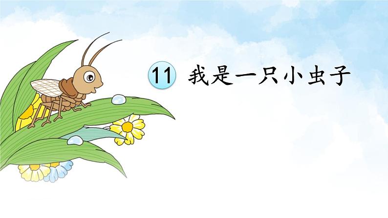 11我是一只小虫子（8）（课件）-2021-2022学年语文二年级下册-第1页