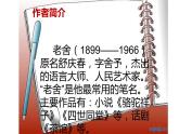 人教版（部编版四五制）小学语文五年级下册 13、人物描写一组 他像一棵挺脱的树 课件