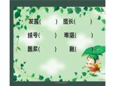 人教版（部编版四五制）小学语文五年级下册 14.刷子李 课件