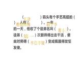 人教版（部编版四五制）小学语文五年级下册 14.刷子李 课件