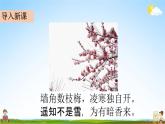 部编人教版五年级语文下册《4 梅花魂》教学课件PPT优秀公开课课件