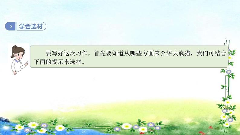 部编三年级 下册语文习作 第七单元   国宝大熊猫 43张幻灯片课件PPT第6页