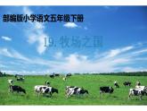 人教版（部编版四五制）小学语文五年级下册 19.牧场之国 课件