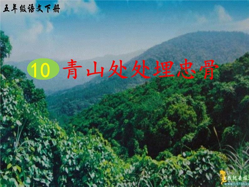 10青山处处埋忠骨（课件）-2021-2022学年语文五年级下册 (1)第3页