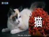 人教版（部编版）语文四年级下册：13猫课件PPT