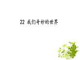 《22我们奇妙的世界》（课件）2021-2022学年语文三年级下册