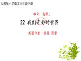 《22我们奇妙的世界》（课件）2021-2022学年语文三年级下册