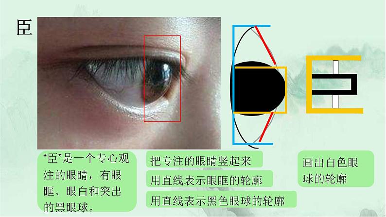 识字5 动物儿歌 趣味识字 生字教学课件PPT05