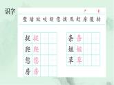 課文21 小壁虎借尾巴 精品PPT課件（含趣味識(shí)字）