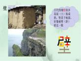 課文21 小壁虎借尾巴 精品PPT課件（含趣味識(shí)字）