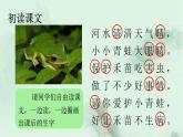 識(shí)字3 小青蛙 精品PPT課件（含趣味識(shí)字）